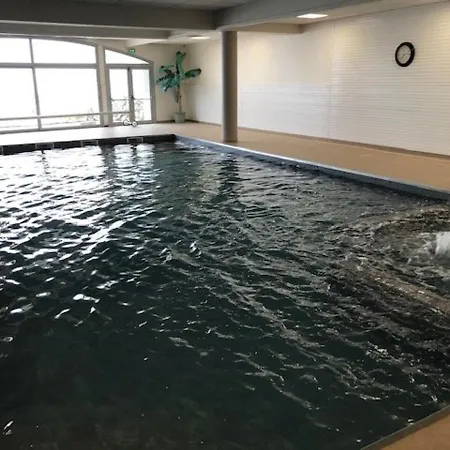 Apartamento Cosy Avec Terrasse, Parking Couvert, Piscine, Salle De Fitness, Proche Pistes - Accepte Animaux - Fr-1-404-253 La Mongie